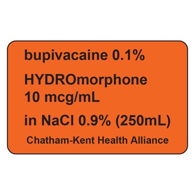 Label: bupivacaine 0.1% HYDROmorphone