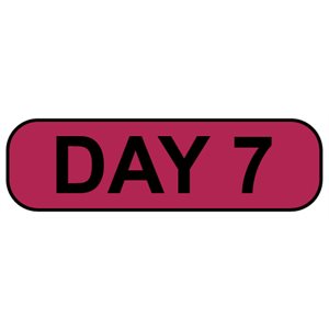 Label: Day 7