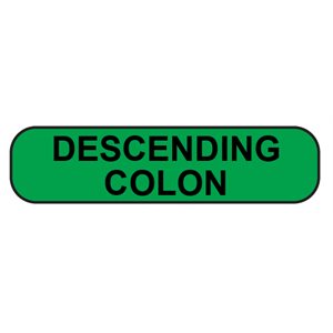 Label: Descending colon