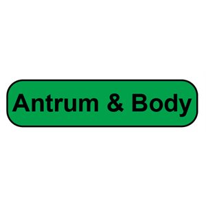 Label: Antrum & Body